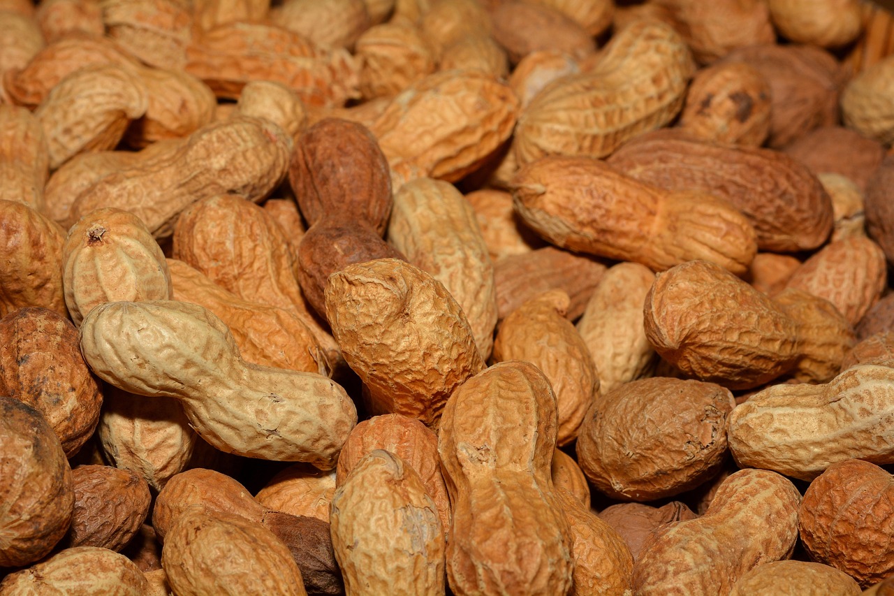 gesunde snacks für diabetiker: entdecken sie leckere und zuckerarme snack-ideen, die den blutzuckerspiegel schonen und perfekt für eine ausgewogene ernährung bei diabetes geeignet sind.