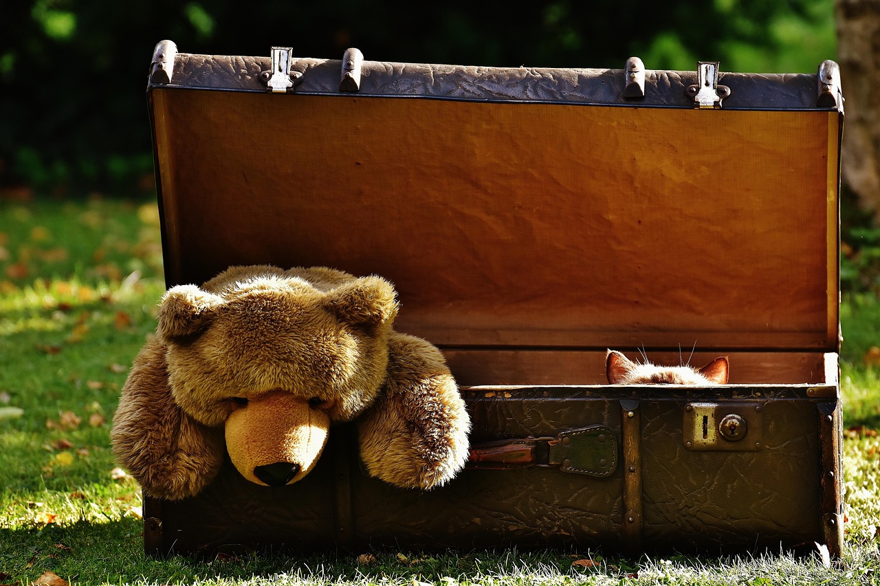 entdecken sie unsere große auswahl an plüschtieren! ob kuscheltiere für kinder oder sammlerstücke für erwachsene, unsere hochwertigen und liebevoll gestalteten stofftiere bringen freude und wärme in jedes zuhause.