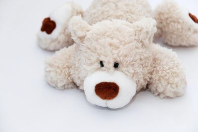 Warum sind Kuscheltiere so wichtig für die emotionale Entwicklung von Kindern?