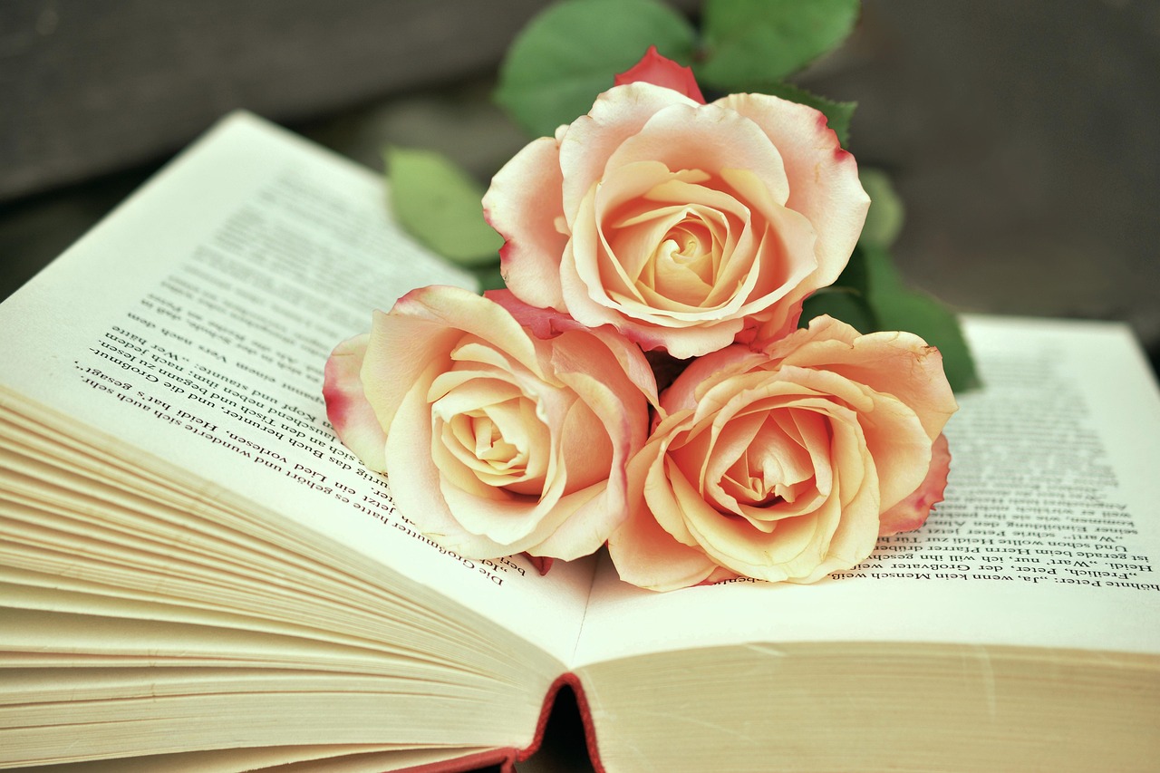 entdecken sie unsere vielfältige auswahl an kinderbüchern, die fantasie anregen und abenteuer erleben lassen. perfekt für junge leser und bücherliebhaber!