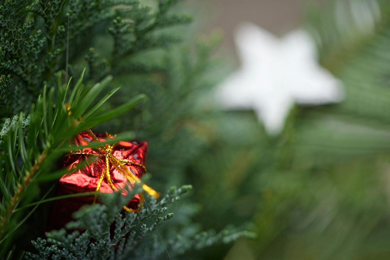 entdecken sie einzigartige personalisierte geschenke, die perfekt für jeden anlass sind. überraschen sie ihre lieben mit individuellen geschenkideen, die von herzen kommen.