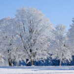 fördern sie die durchblutung im winter mit einfachen tipps und wirksamen strategien für mehr wohlbefinden und gesundheit in der kalten jahreszeit.